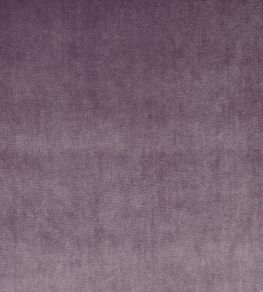 Velour Fabric by Prestigious Textiles Mulberry Velour Fabric by Prestigious Textiles Mulberry