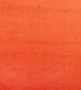 Velour Fabric by Prestigious Textiles Tango