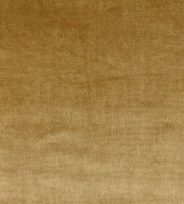 Velour Fabric by Prestigious Textiles Gold