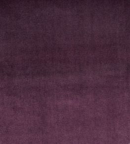 Velour Fabric by Prestigious Textiles Grape Velour Fabric by Prestigious Textiles Grape