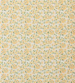 Primrose Wallpaper by Sophie Harpley Butter Primrose Wallpaper by Sophie Harpley Butter
