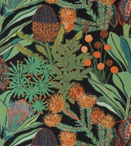 Protea Wallpaper by Thibaut Black