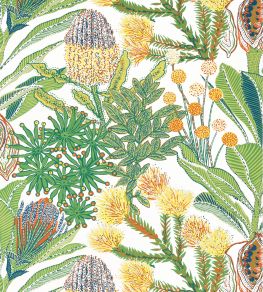 Protea Wallpaper by Thibaut Brights