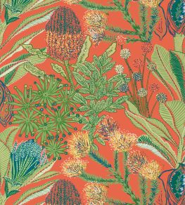 Protea Wallpaper by Thibaut Coral Protea Wallpaper by Thibaut Coral