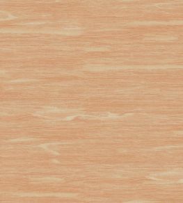 Puff Wallpaper by Andrew Martin Orange Puff Wallpaper by Andrew Martin Orange
