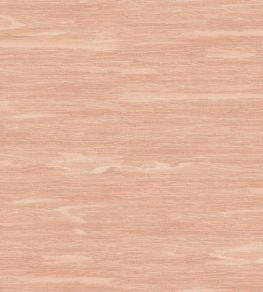 Puff Wallpaper by Andrew Martin Rust Puff Wallpaper by Andrew Martin Rust