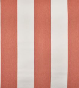 Punch Fabric by Casal Papaye Punch Fabric by Casal Papaye