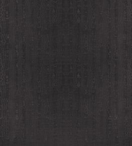 Regia Fabric by Anna French Ebony Regia Fabric by Anna French Ebony
