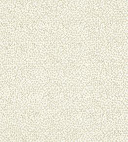 Ricamo Fabric by Clarke & Clarke Ivory
