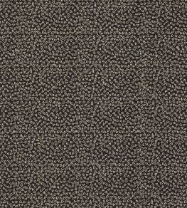 Ricamo Fabric by Clarke & Clarke Nero