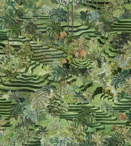 Rice Terrace Max Wallpaper by Brand McKenzie Grass Green Rice Terrace Max Wallpaper by Brand McKenzie Grass Green