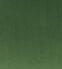 Rio Fabric by Villa Nova Evergreen