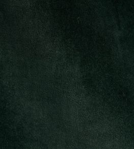 Rocky Performance Velvet Fabric by Schumacher Pine Rocky Performance Velvet Fabric by Schumacher Pine