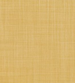 Dune Fabric by Romo Iora