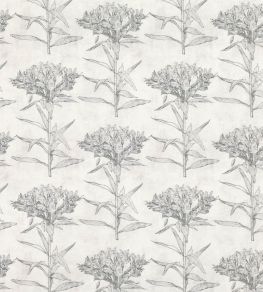 Oriana Fabric by Romo Granite Oriana Fabric by Romo Granite