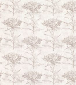 Oriana Fabric by Romo Chamois Oriana Fabric by Romo Chamois