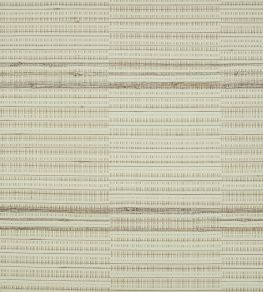 Root Wallpaper by Mark Alexander Jasper White