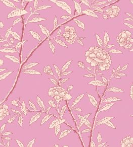 Roseberry Wallpaper by Cole & Son Fuchsia Roseberry Wallpaper by Cole & Son Fuchsia