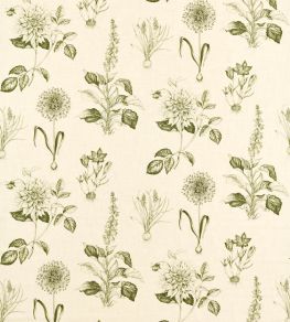 Roseraie Fabric by Clarke & Clarke Sage Roseraie Fabric by Clarke & Clarke Sage