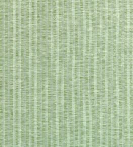 Salem Stripe Fabric by Thibaut Mojito Salem Stripe Fabric by Thibaut Mojito
