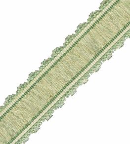 Tiverton Pleated Border Trimming by Samuel & Sons Fern Tiverton Pleated Border Trimming by Samuel & Sons Fern