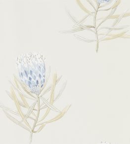 Protea Flower Wallpaper by Sanderson China Blue / Canvas