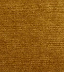 Boho Velvets Fabric by Sanderson Old Gold Boho Velvets Fabric by Sanderson Old Gold