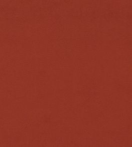 Dorton Fabric by Sanderson Chilli