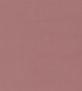 Dorton Fabric by Sanderson Orchid