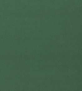 Dorton Fabric by Sanderson Sage