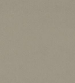 Dorton Fabric by Sanderson Tawny