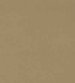 Dorton Fabric by Sanderson Pumice