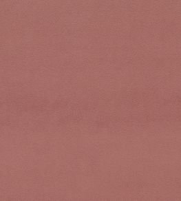 Dorton Fabric by Sanderson Vintage Rose