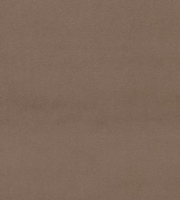 Dorton Fabric by Sanderson Truffle