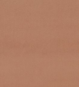 Dorton Fabric by Sanderson Auburn