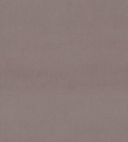Dorton Fabric by Sanderson Heather