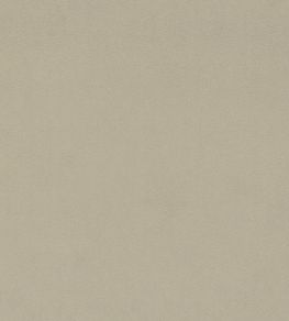 Dorton Fabric by Sanderson Marzipan