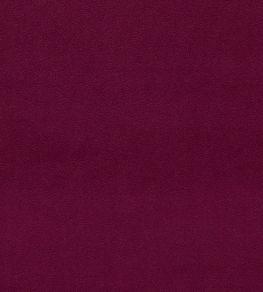 Dorton Fabric by Sanderson Fig