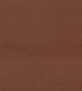 Dorton Fabric by Sanderson Chesnut