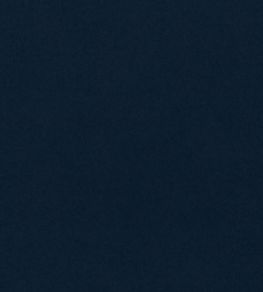 Dorton Fabric by Sanderson Midnight