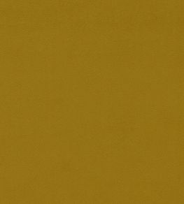 Dorton Fabric by Sanderson Olive