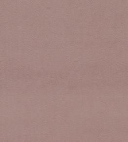 Dorton Fabric by Sanderson Blush