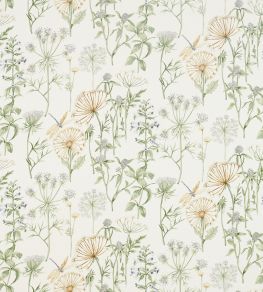 Wild Angelica Fabric by Sanderson Silver/Spring Leaf