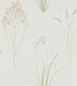 Farne Grasses Wallpaper by Sanderson Cream/Sage Farne Grasses Wallpaper by Sanderson Cream/Sage