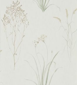 Farne Grasses Wallpaper by Sanderson Willow/Pebble Farne Grasses Wallpaper by Sanderson Willow/Pebble