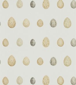 Nest Egg Wallpaper by Sanderson Corn Graphite Nest Egg Wallpaper by Sanderson Corn Graphite