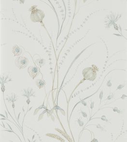 Summer Harvest Wallpaper by Sanderson Silver/Chalk Summer Harvest Wallpaper by Sanderson Silver/Chalk