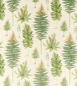 Fernery Fabric by Sanderson Olive Fernery Fabric by Sanderson Olive