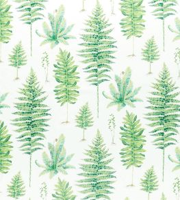 Fernery Fabric by Sanderson Botanical Green Fernery Fabric by Sanderson Botanical Green