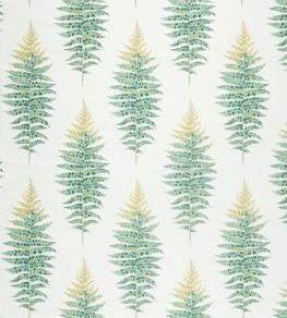 Fernery Weave Fabric by Sanderson Botanical Green Fernery Weave Fabric by Sanderson Botanical Green